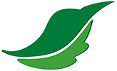 Logo Teodul-Babic